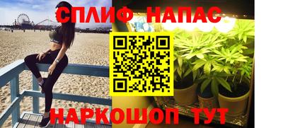 амф Балахна