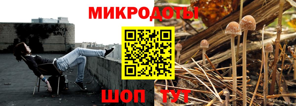 закладки  Берёзовский  Псилоцибиновые грибы Cubensis 